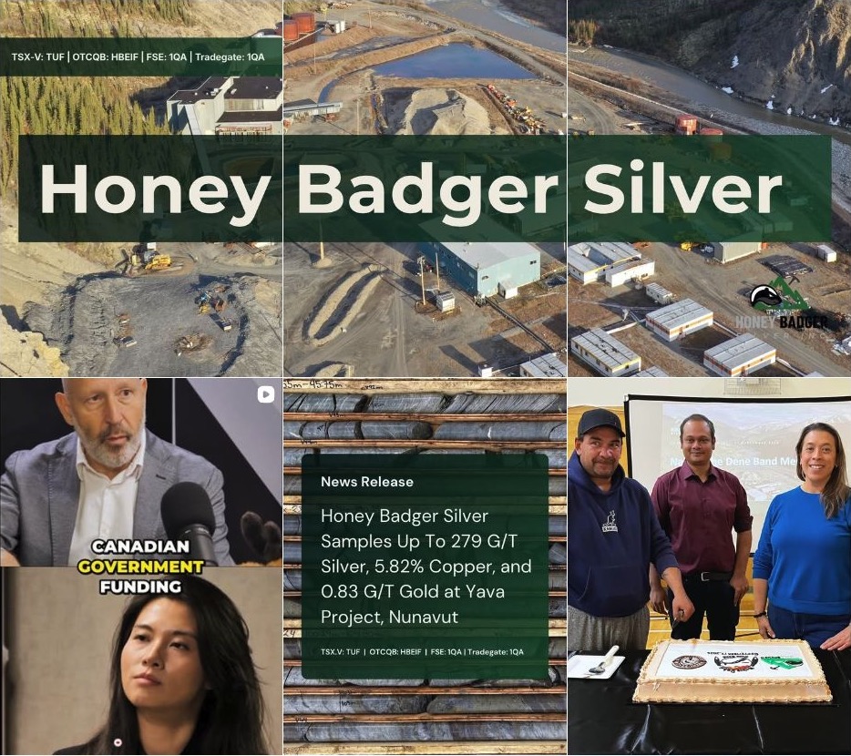 A six-post snapshot of the Honey Badger Silver Instagram grid